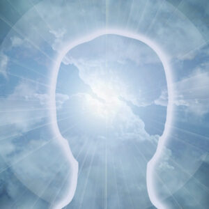 Wahrnehmung + Intuition